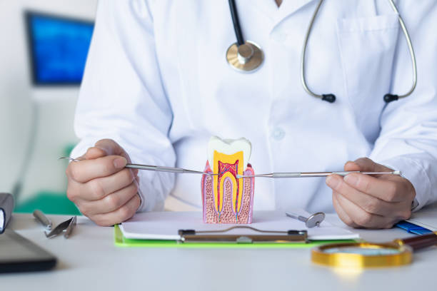 Best Dentist for Tooth Abscess  in Raleigh Hills, OR